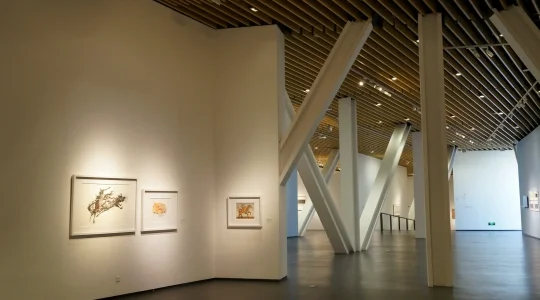 中国国立版画博物館 外観 イメージ ～ 巨大なスペースに優雅に展示される世界からの版画
