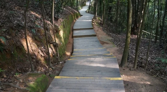 丹霞山 イメージ