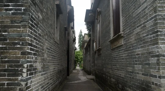 開平 自力村 イメージ