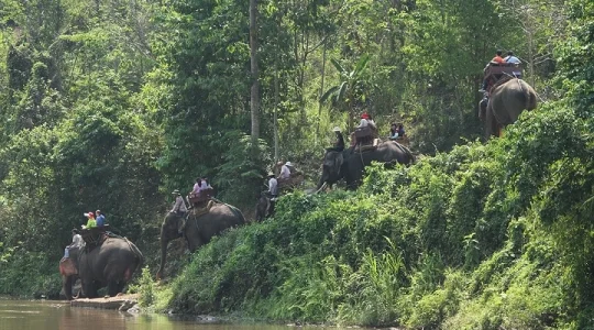 本格象乗り体験