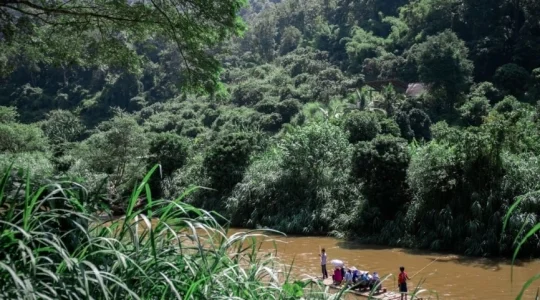 本格象乗り体験