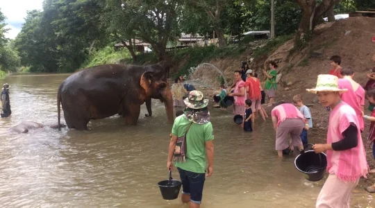 象使い体験+水遊び