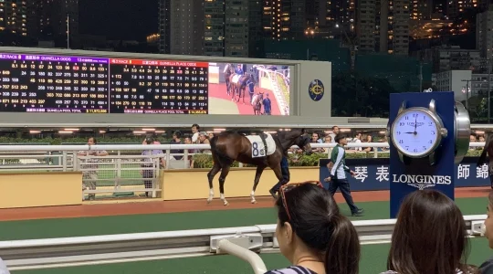 ツアーイメージ：香港競馬観戦ツアー