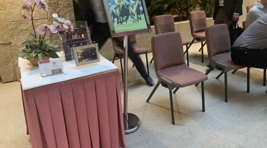 ツアーイメージ：香港競馬観戦ツアー