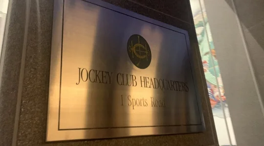 ツアーイメージ：香港競馬観戦ツアー