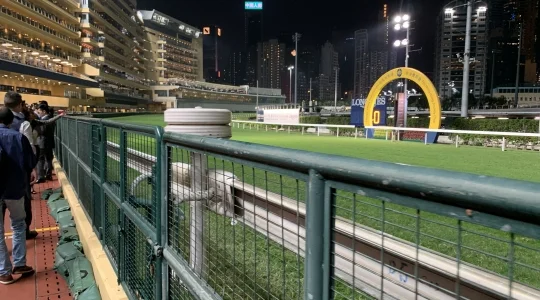 ツアーイメージ：香港競馬観戦ツアー