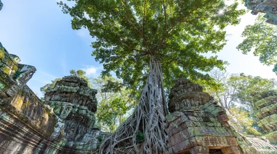 【シェムリアップ】バンテアイスレイ+タプロム+アンコールワット遺跡 1日観光　貸切プランあり