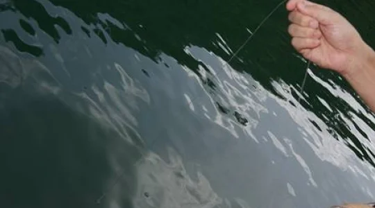 釣り