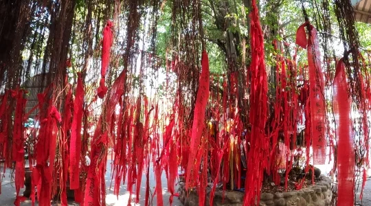 ワットサマーン