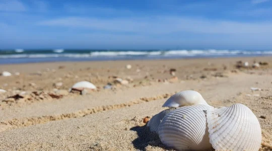 ブンタウ ビーチ