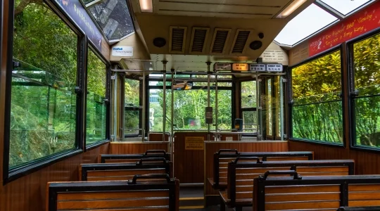 観光イメージ：ピークトラム車内