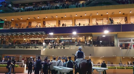 香港 ハッピーバレー競馬場 イメージ