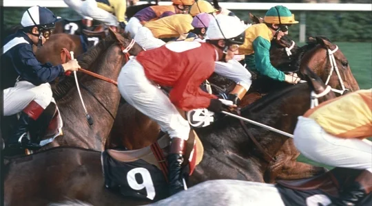 香港 競馬 イメージ