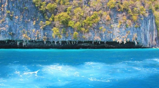 バイキング・ケーブ