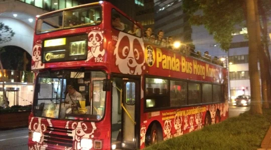 香港 パンダバス の オープントップバス