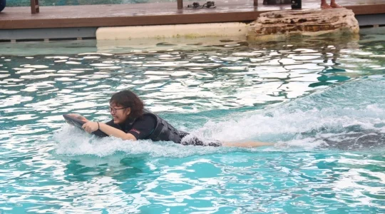 ドルフィンアイランド_アドベンチャー