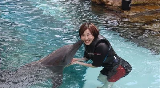 ドルフィンアイランド_アドベンチャー