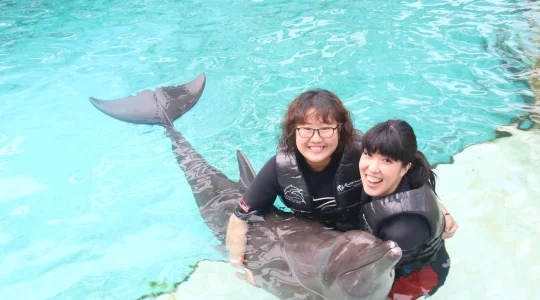 ドルフィンアイランド_アドベンチャー