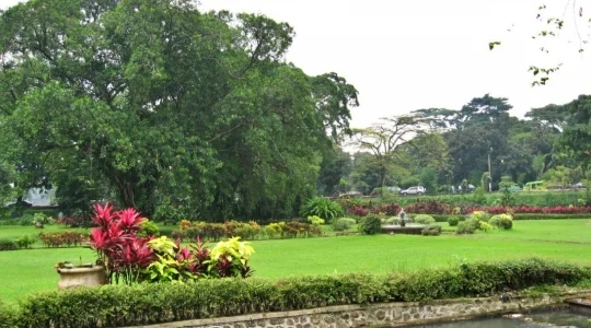 ボゴール植物園