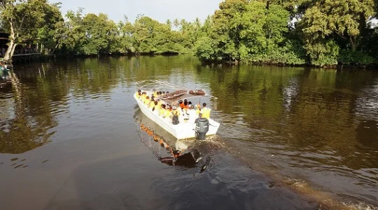 【コタキナバル発】ジャングル・リバークルーズ＆ホタル・ウォッチング