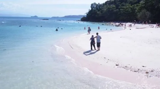 海