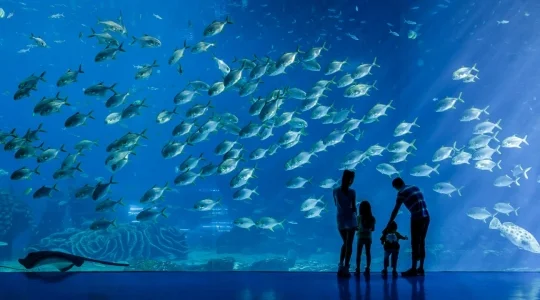 海洋王国イメージ:水族館内部